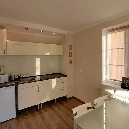 Avangarda * 스클라르스카포렘바